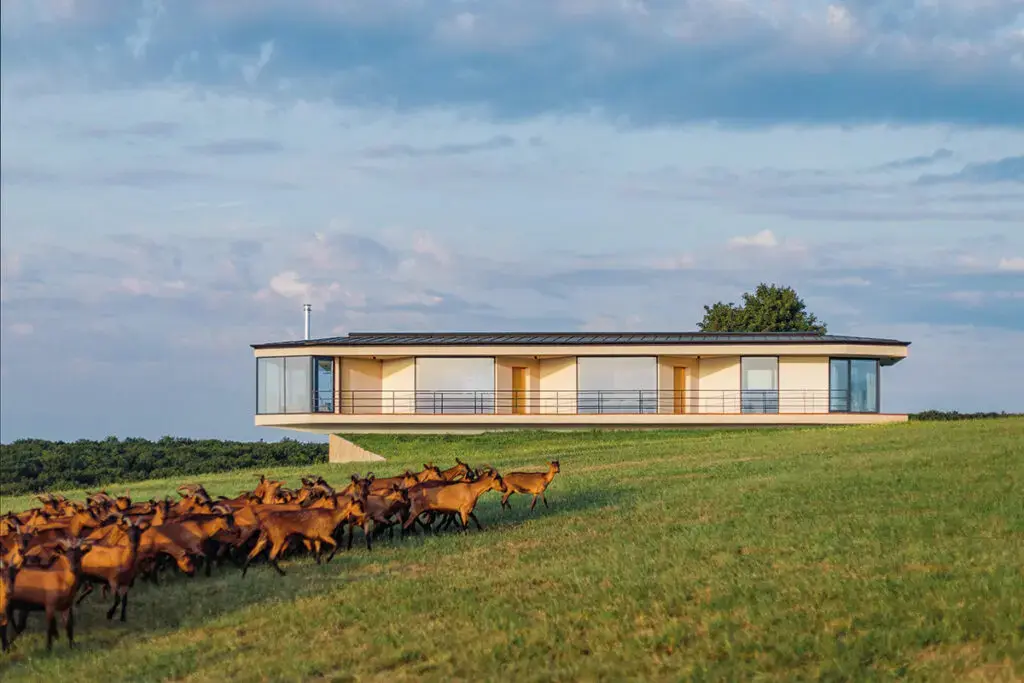 Casa din cânepă: O simbioză între artă și natură, explorată de Ljubica Arsić