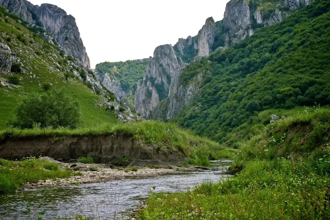 Experiența expediției pe râul Congo