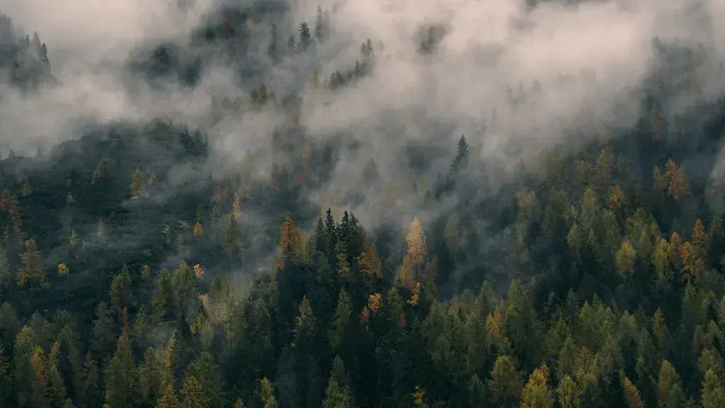 Ghidul perfect pentru o vacanță în Joshua Tree