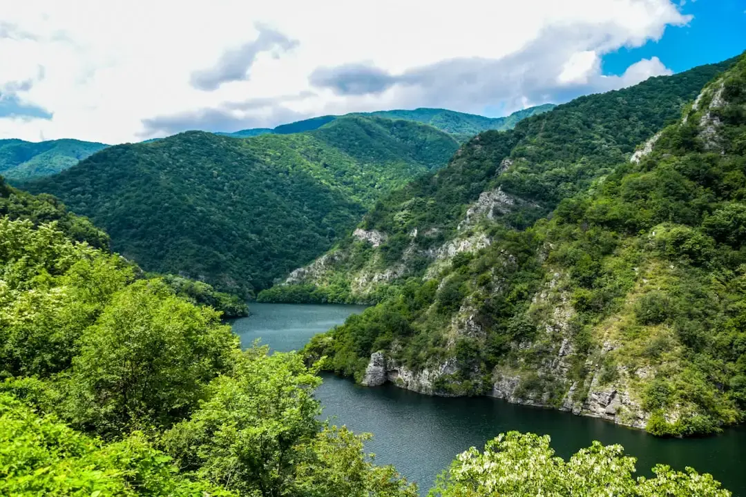 Patru ani în Bulgaria: Decizia de a învăța limba locală
