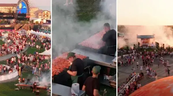 Record Mondial la Costinești: 425 kg de aripioare, gătite la Nibiru