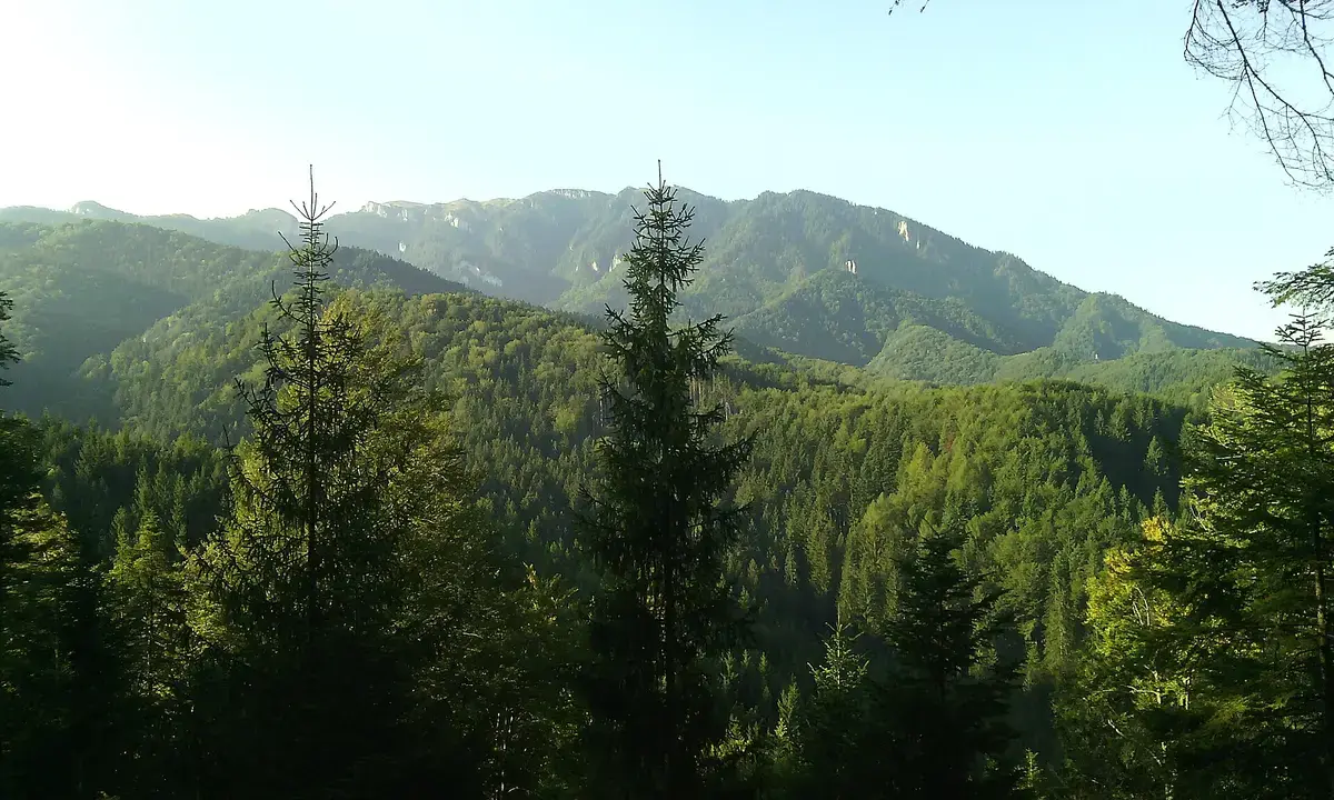 România, sub lupa Curții Europene de Conturi pentru rețeaua Natura 2000