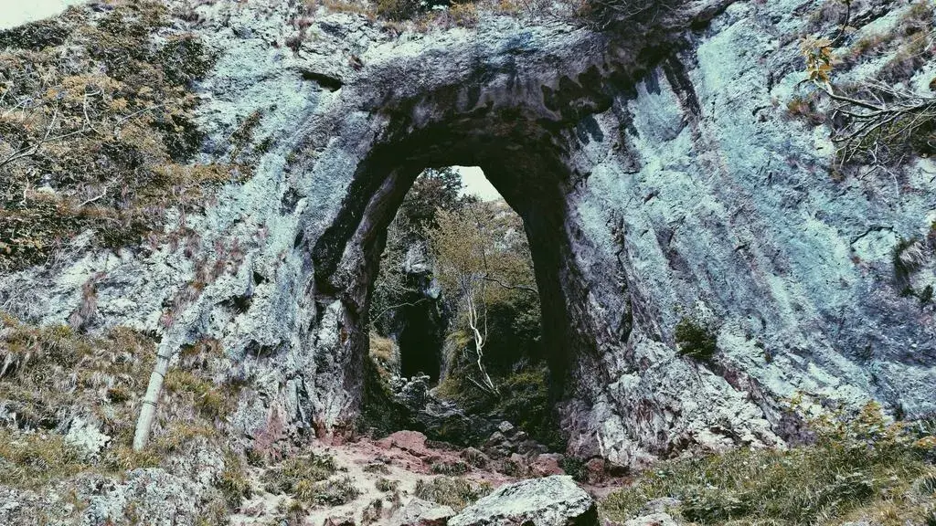 Jungla de pe coastă, o nouă destinație turistică de succes