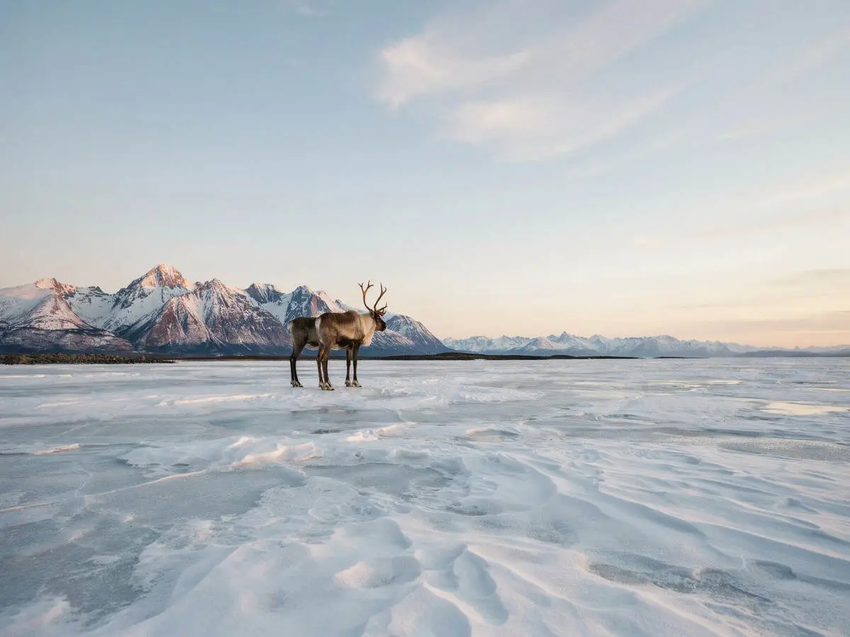 Canada consolidează prezența în Arcticul prin alianțe strategice pentru turism