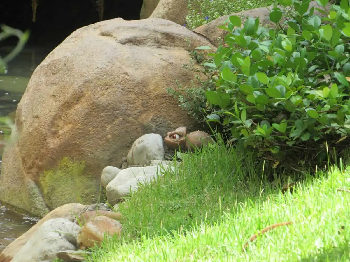 Disney World reface zona de baie din Magic Kingdom inspirată din Tangled